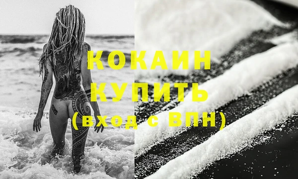 кокс Арсеньев